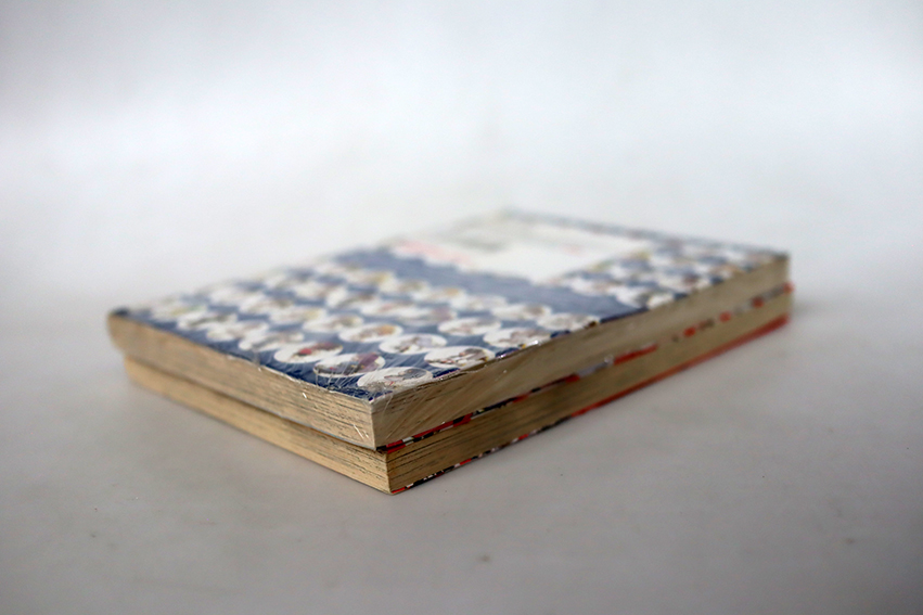 IS ไอเอ๊ส (2 เล่มจบ )