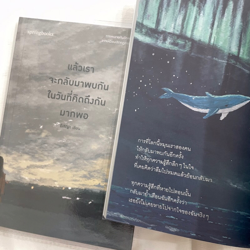 แล้วเราจะกลับมาพบกันในวันที่คิดถึงมากพอ /ผู้เขียน: อิสญะ /สำนักพิมพ์: Springbooks (สปริงบุ๊กส์)
