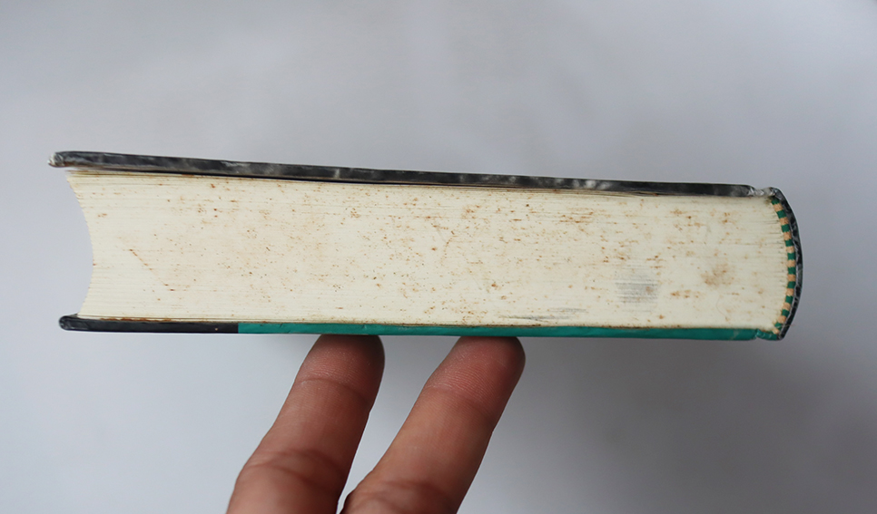 สมถวิปัสสนาแห่งยุคปรมาณู