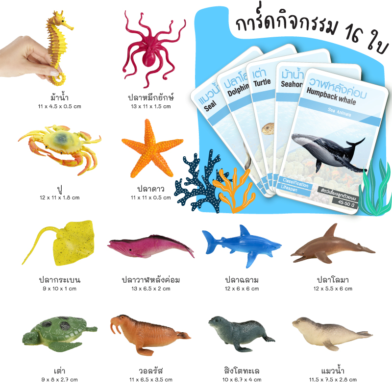 โมเดลสัตว์ พร้อมการ์ดกิจกรรม