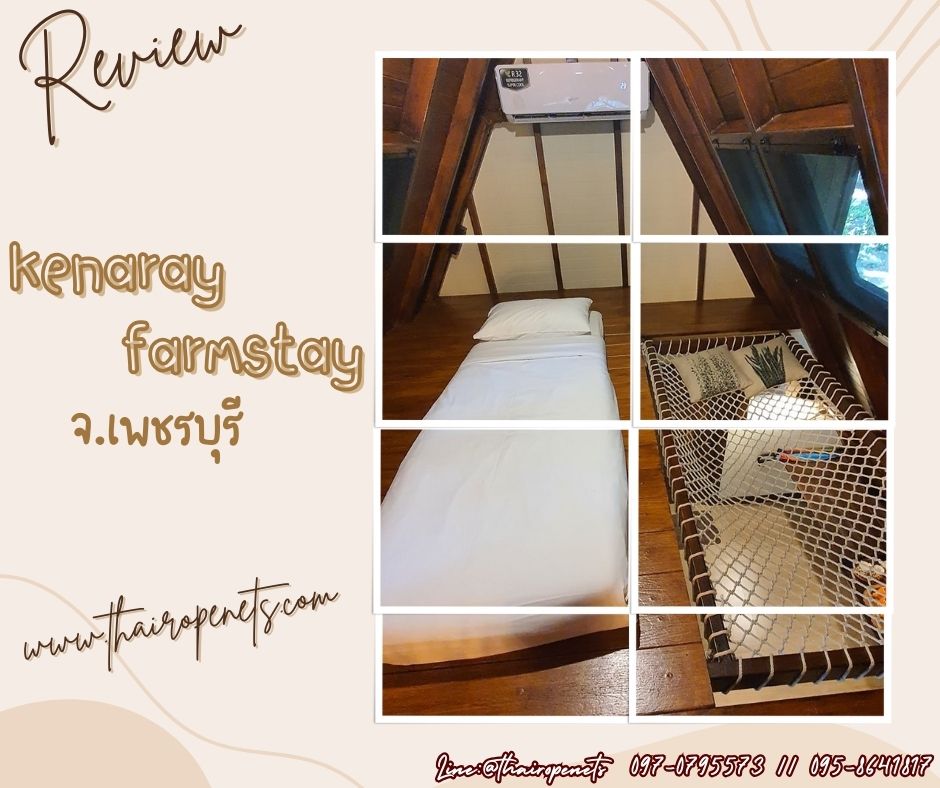 ผลงานเปลตาข่าย ตาข่ายเปลนอน ตาข่ายนั่งเล่น ตาข่ายนั่งชิว ตาข่ายนั่งชมวิว งานตาข่าย