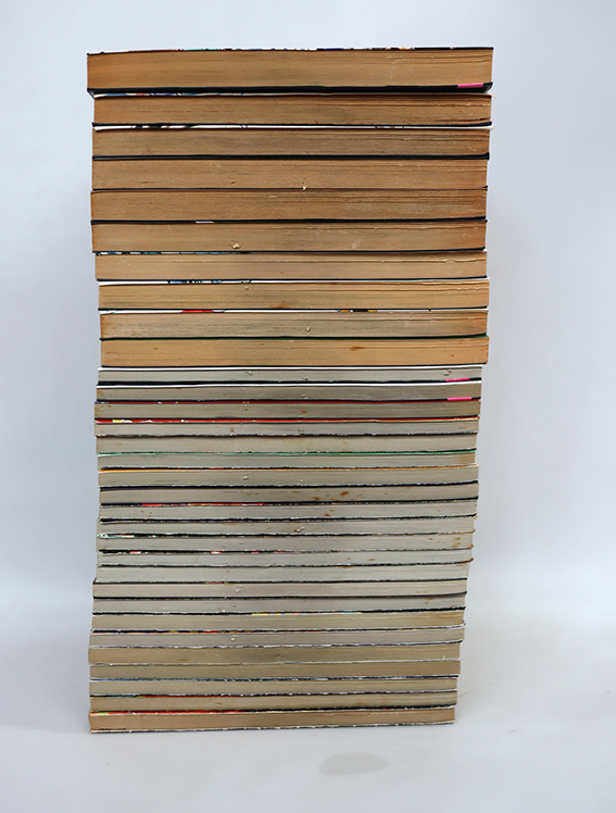 ราชันย์แห่งภูติ ( 32 เล่มจบ )