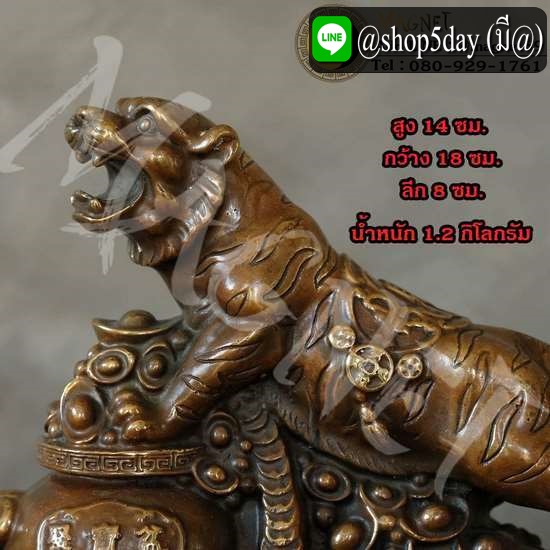 ฮ้อเอี๋ยเจียงกุน หรือ เทพเจ้าเสือ