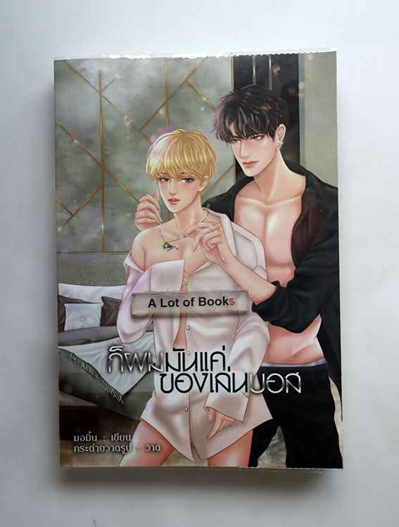 ก็ผมมันแค่ของเล่นบอส