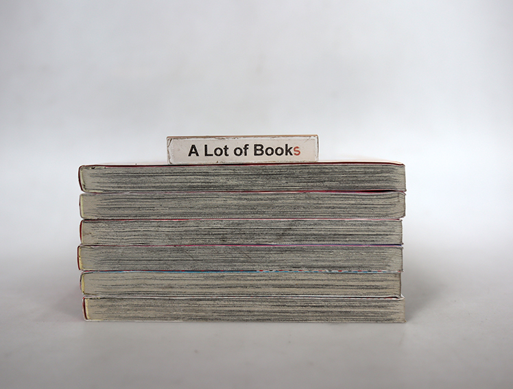 พรหมลิขิตพลิกรัก ( 6 เล่มจบ )