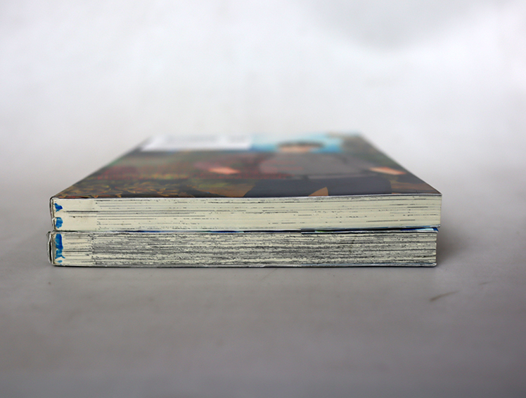 ตามรอยรักนักปีนเขา (2 เล่มจบ )