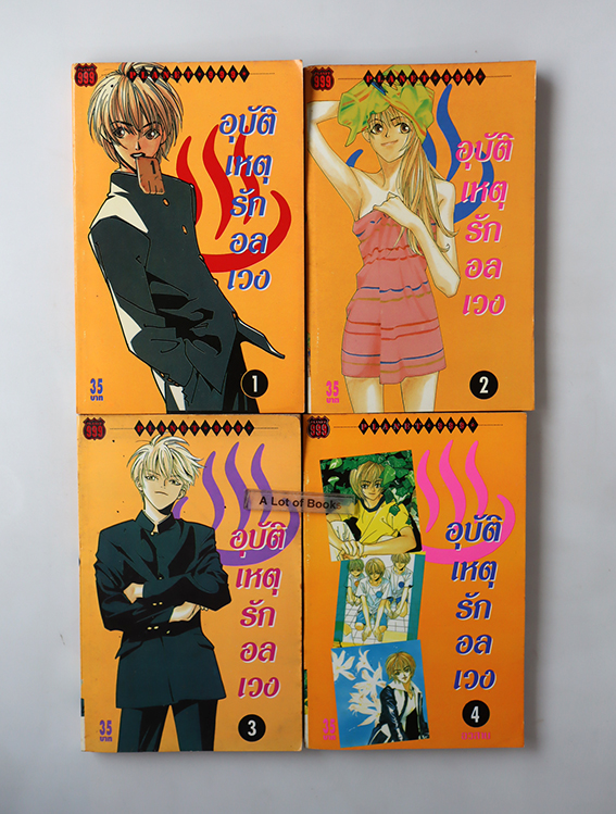 อุบัติเหตุรักอลเวง ( 4 เล่มจบ )