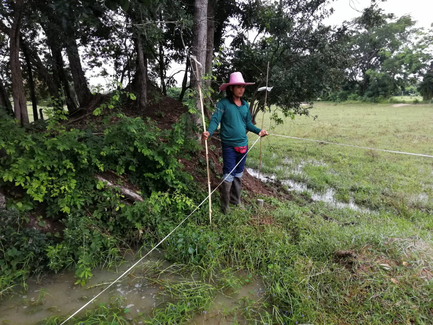 ขายที่ดิน ต.ท่าโพ อ.หนองขาหย่าง จ.อุทัยธานี มีเนื้อที่ทั้งหมด 3 แปลง ขายไร่ล่ะ 200,000 บาท