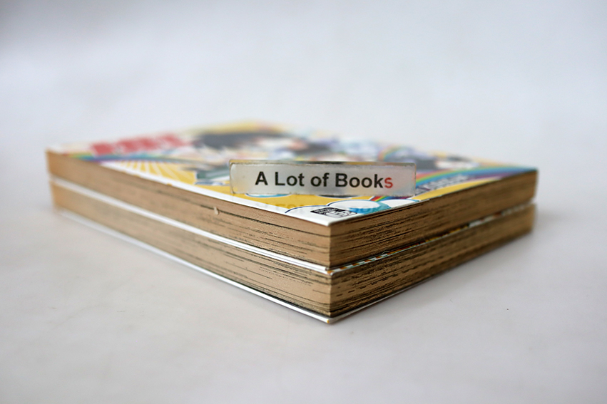 HR โฮมรูมสุดพิลึก ( 2 เล่มจบ )