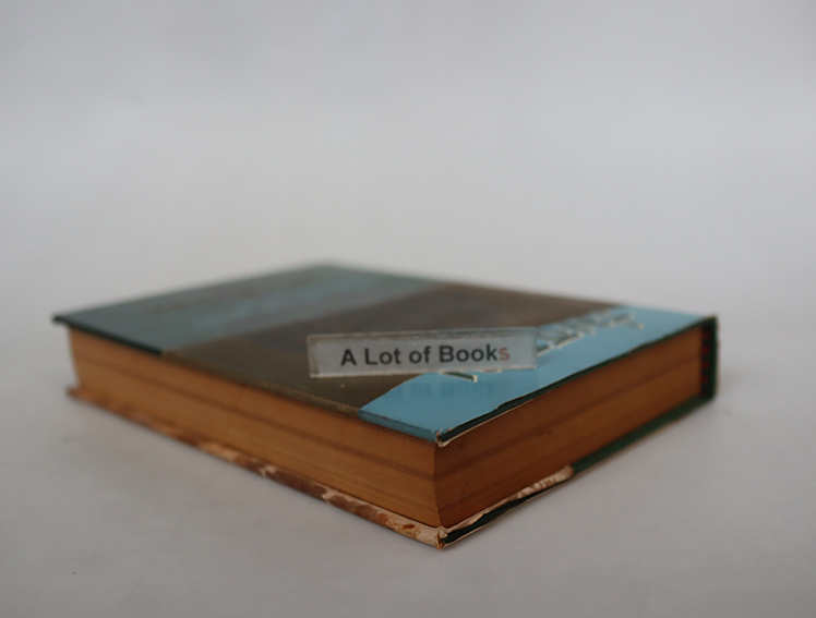 ร่มธรรม