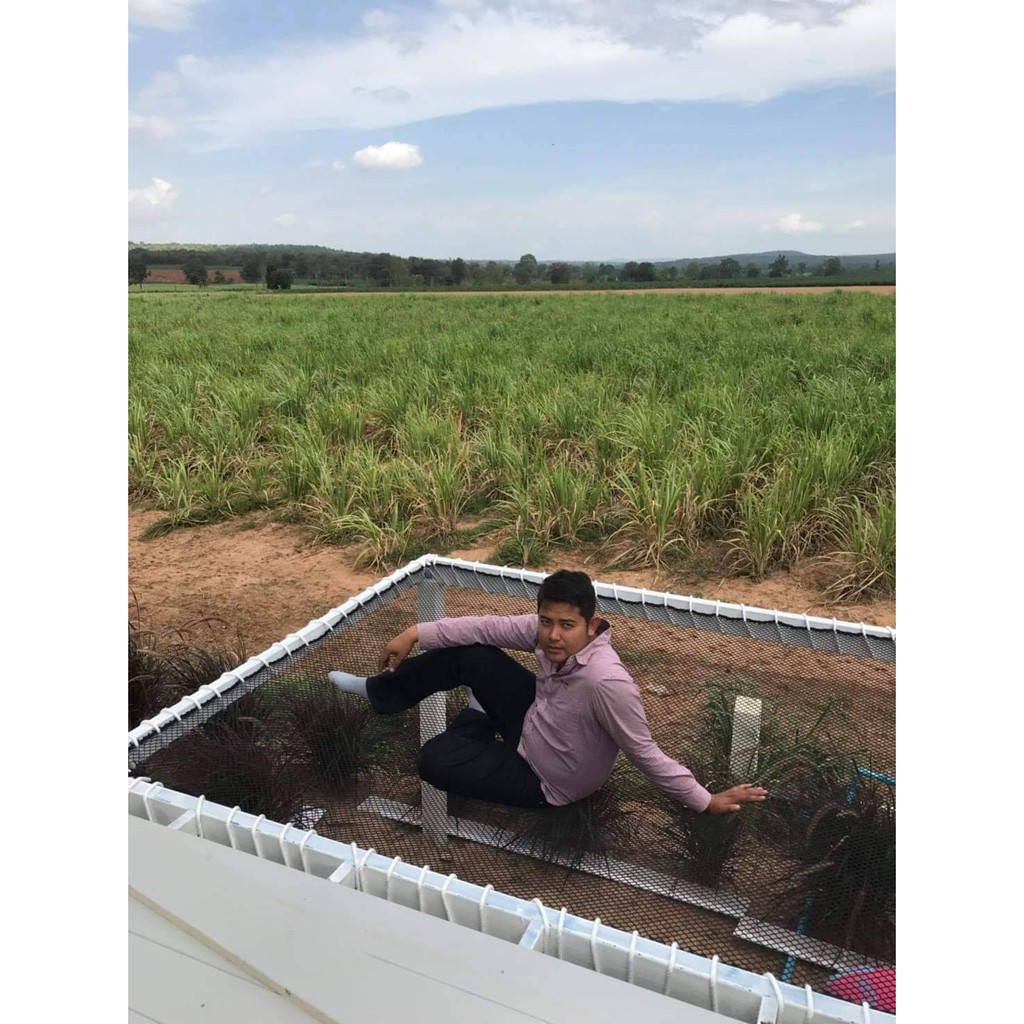 ตาข่ายแพนอน ตาข่ายร้านอาหาร ติดตั้งได้ง่าย ปลอดภัย แถมเชือกพันติดตั้ง