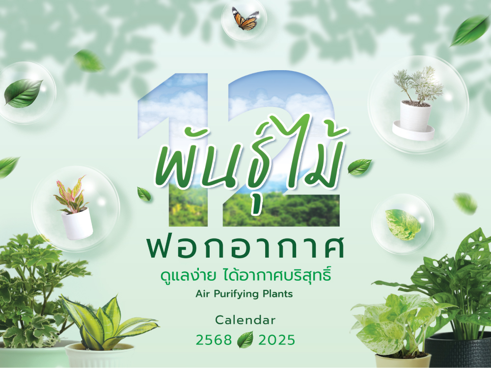 ปฏิทิน ปฎิทินตั้งโต๊ะ2568 Calendar2025 ชุด12พันธุ์ไม้ฟอกอากาศ ปฏิทินไทย มีบอกวันพระ วันหยุด