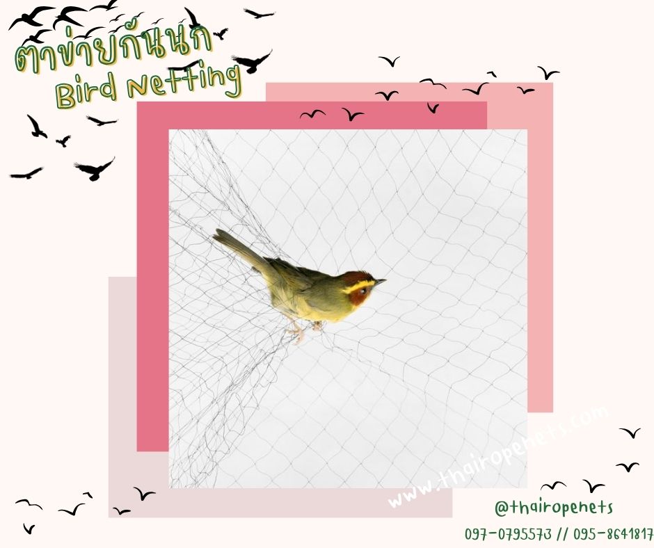 พร้อมส่ง ตาข่ายกันนก bird netting กั้นช่องลม กันนกเข้าอาคาร ป้องกันสัตย์ ผสมสารป้องกันUV ทนทานใช้งานได้ยาวนาน
