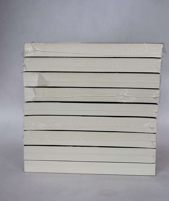 กี่ภพกี่ชาติก็ยังเป็นเธอ (9 เล่มจบ)