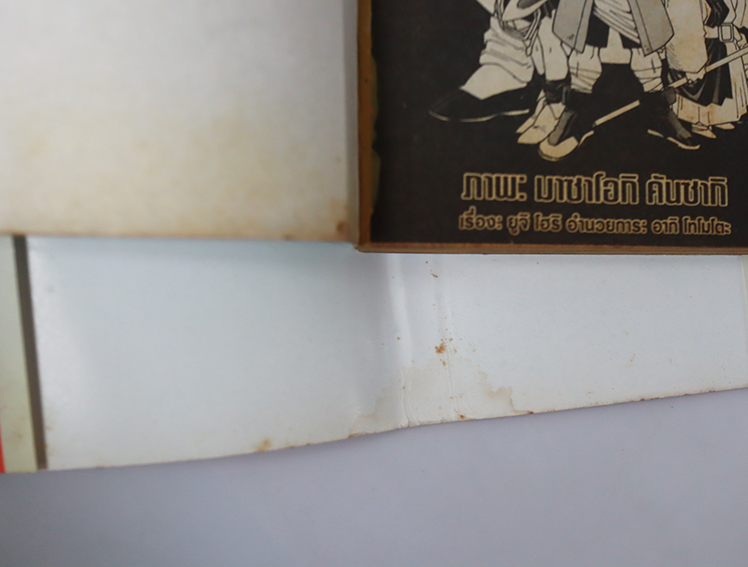 ดราก้อนเควสต์ ภาค แผ่นดินมายา ( 10 เล่มจบ )