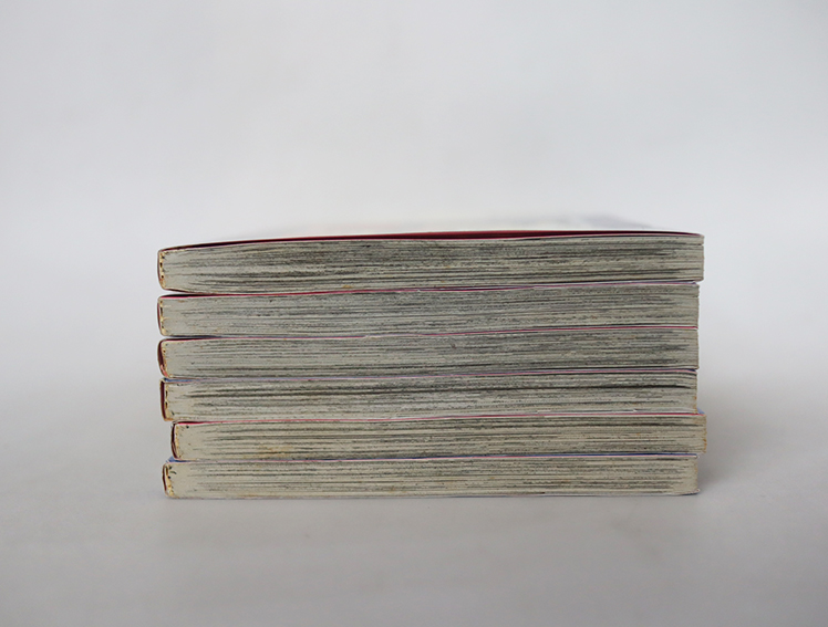 ลิขิตรักสัญญาใจ ( 6 เล่มจบ )