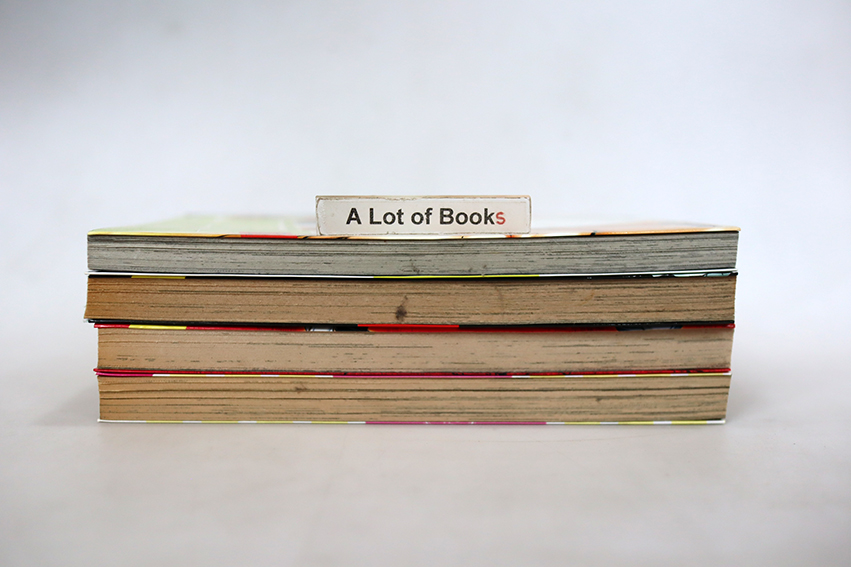 wizard Nation ชนผ่าเหล่า เผ่าเหนือมนุษย์ ( 4 เล่มจบ )