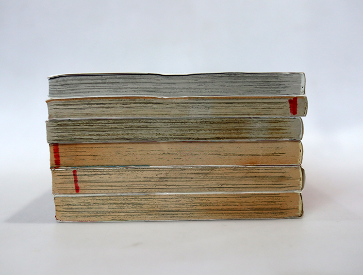 สึโบมิจัง ลืมอะไรรึเปล่าจ๊ะ ( 6 เล่มจบ )