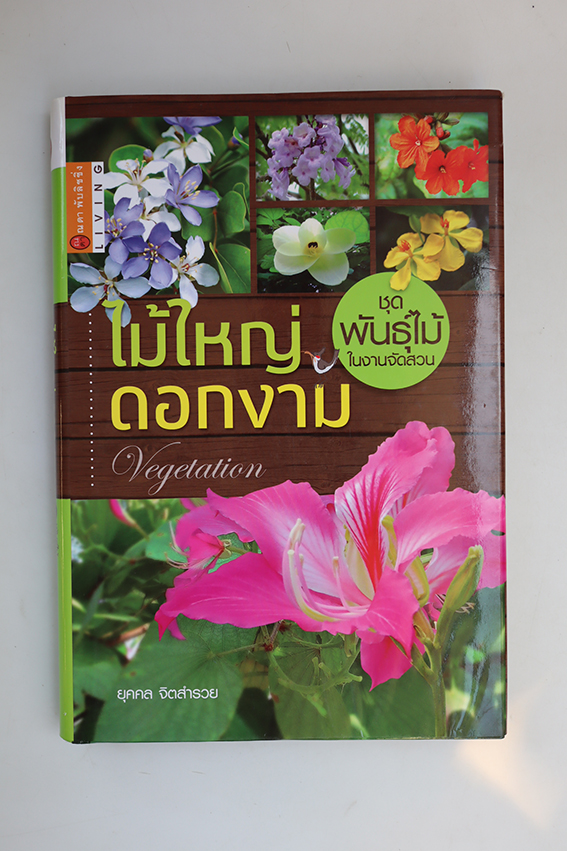 ไม้ใหญ่ ดอกงาม