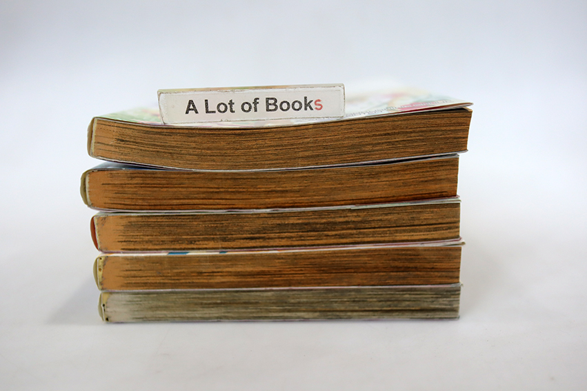 เรียกเธอว่ายอดคุณเมด ( 5 เล่มจบ )