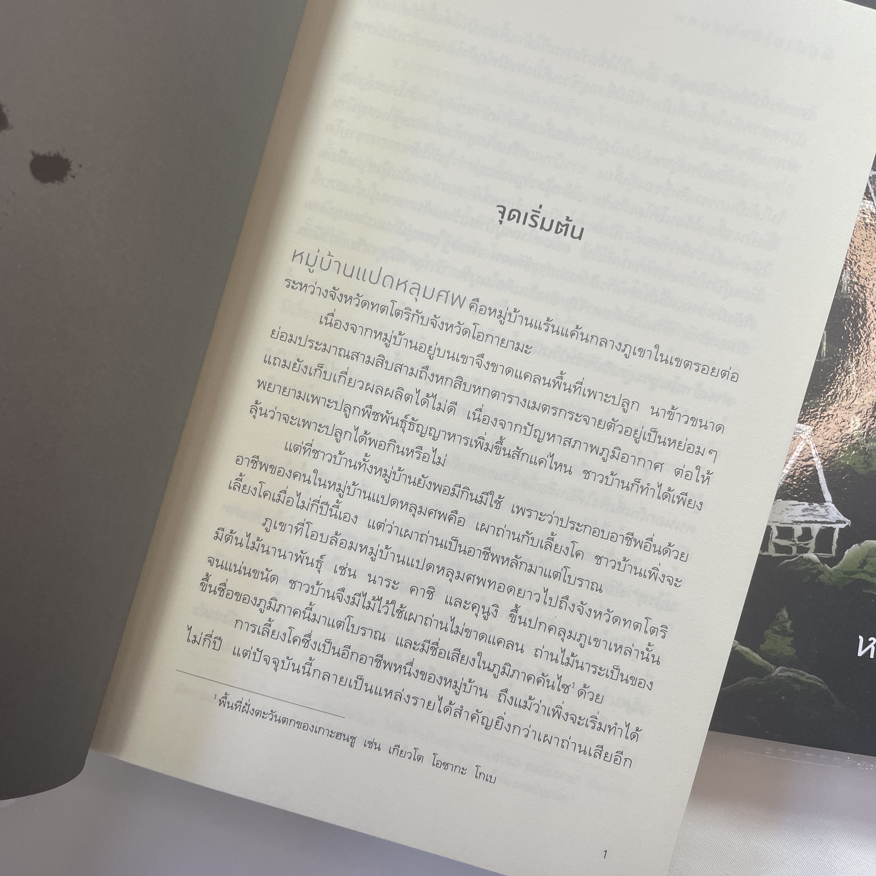 หมู่บ้านแปดหลุมศพ /ผู้เขียน: โยโคมิโซะ เซชิ /สำนักพิมพ์: prism(พริส์ม)