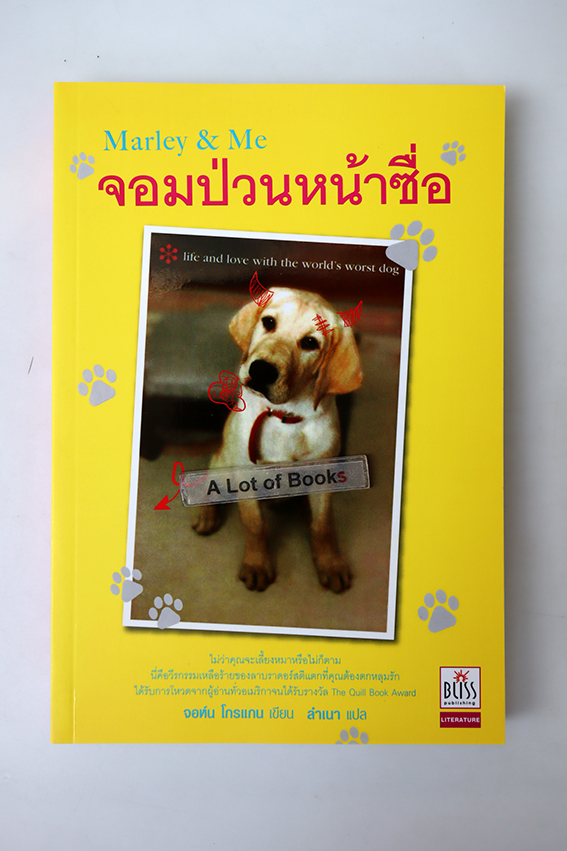 จอมป่วนหน้าซื่อ