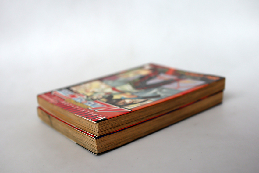 มอนสเตอร์โซล Monster soul ( 2 เล่มจบ )