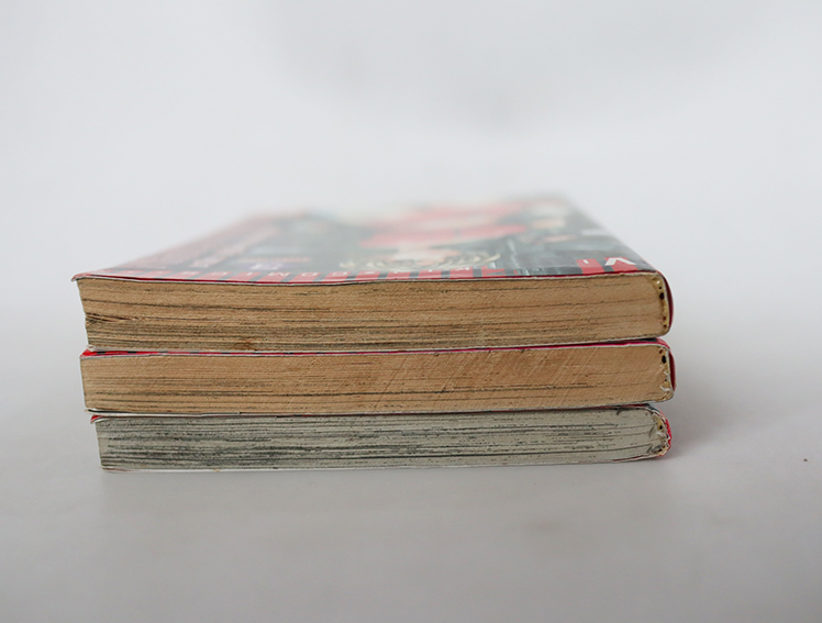 Najica Project นาจิกะ ปฏิบัติการสายฟ้าฟาด ( 3 เล่มจบ )