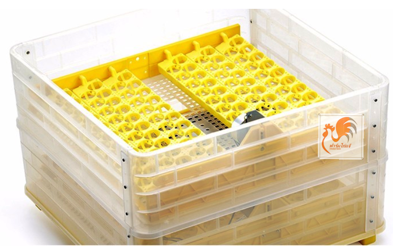 เครื่องฟักไข่ 112 ฟอง รุ่น CF-112 กลับไข่อัตโนมัติ