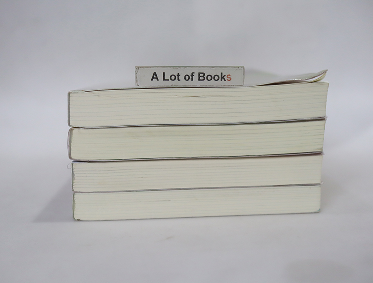 ลำนำรักเทพสวรรค์ ภาคหนึ่ง ( 4 เล่มจบ )