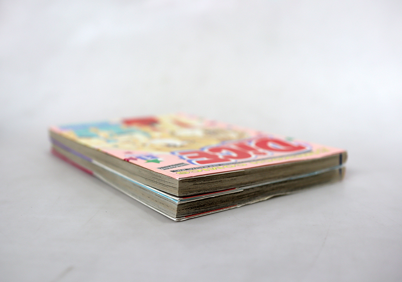 Dice เดิมพันพนันหัวใจ ( 2 เล่มจบ )