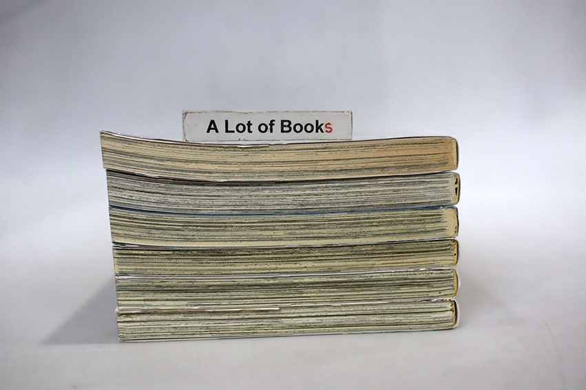 แมลง ลูกตา และตุ๊กตาหมี ( 6 เล่มจบภาค )