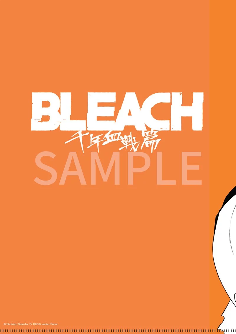 [ A4 Folder ] Bleach S8 (orange)