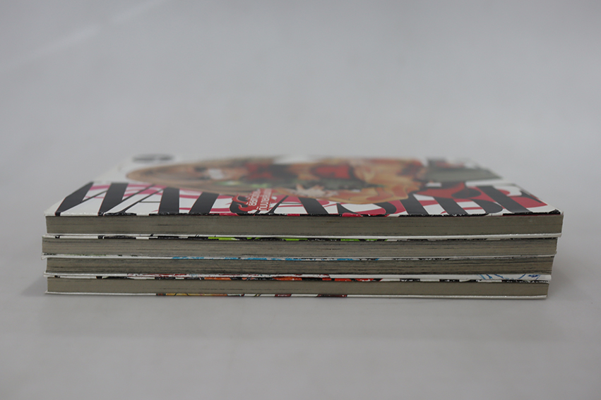 Warasibe ยัยตัวร้ายกับนายฟาง ( 4 เล่มจบ )