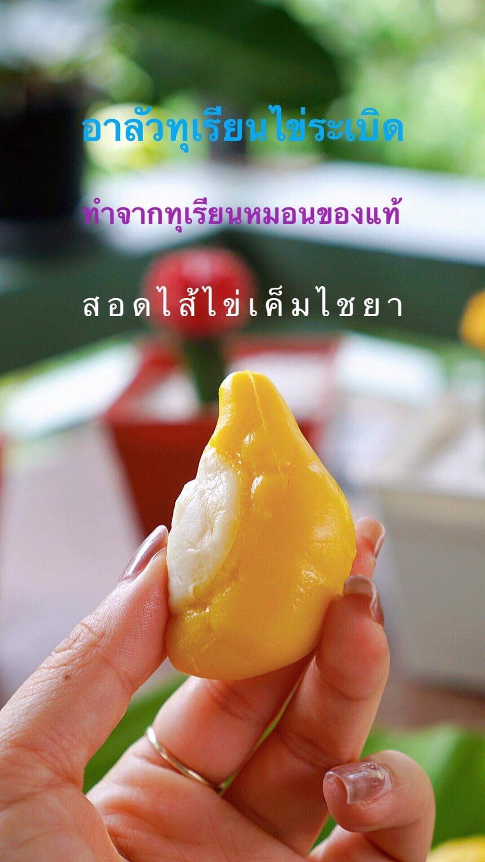 อาลัวทุเรียน