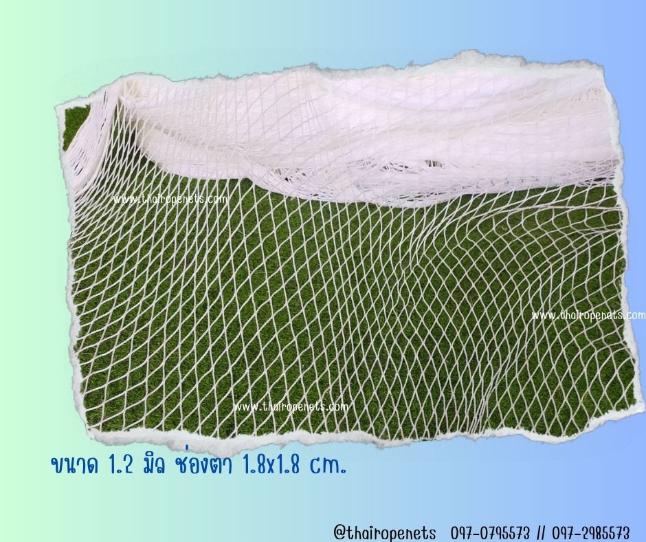 ตาข่ายสีขาว ยกม้วน ตาข่ายตกแต่งคาเฟ่ ตาข่ายสีขาวไร้ปม ตกแต่งคาเฟ่ ตาข่ายตกแต่งรีสอร์ท ตาข่ายตกแต่งโรงแรม ตาข่ายตกแต่งบ้านและสวน