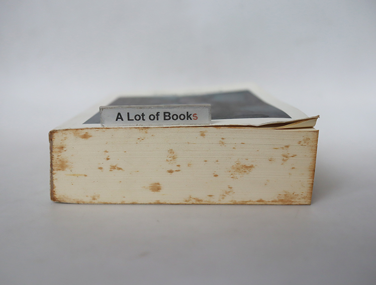 ช่อมะลิลา