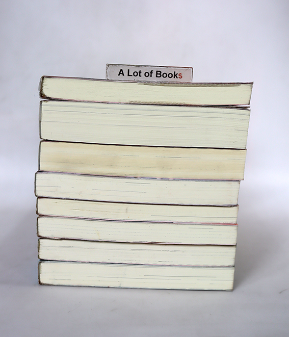 นิยายแจ่มใส เลิฟซีรี่ย์ - แสตมป์เบอรี่