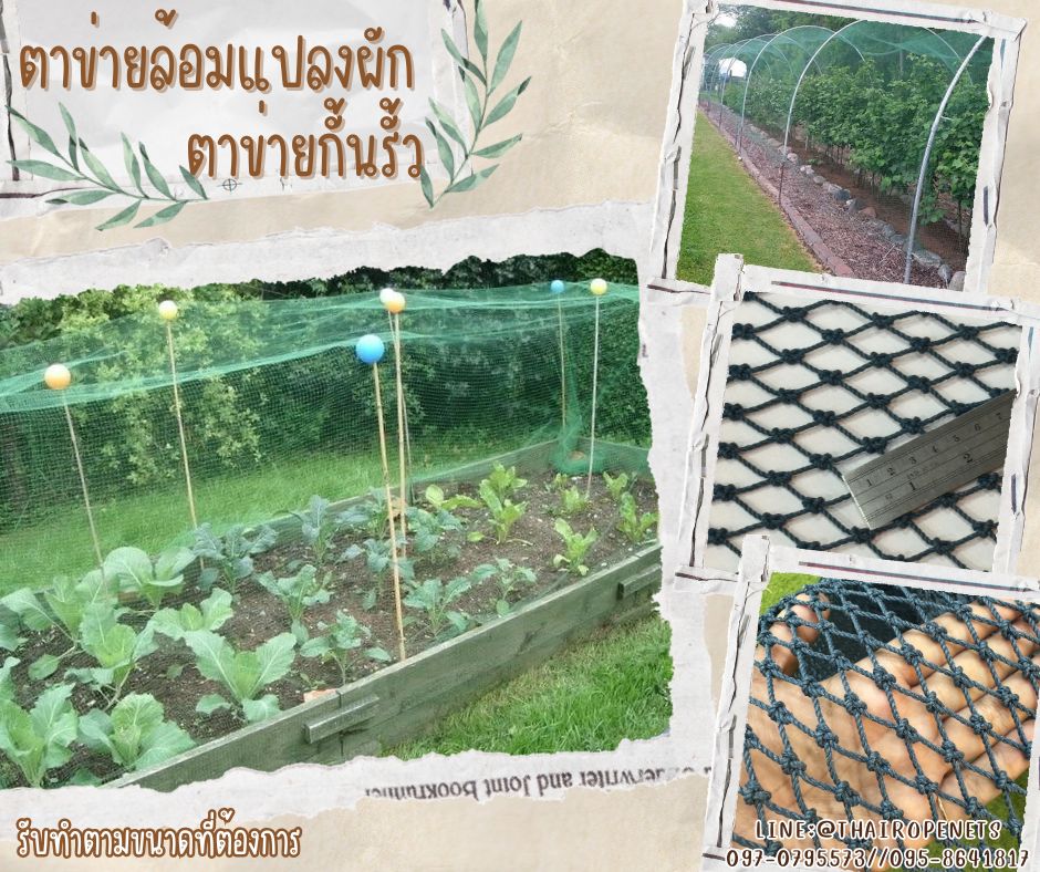 ตาข่ายล้อมแปลงผัก สีฟ้าอมเขียว เชือกหนาพิเศษ 2.5 มิล ช่องตา 2x2 cm.ตาข่ายกั้นเขตรั้ว รับทำตามขนาดที่ต้องการ
