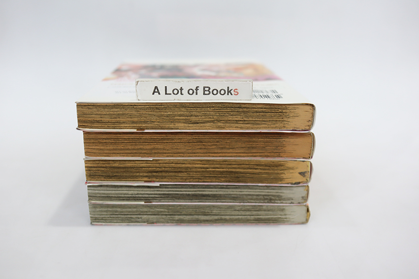 มิโกะแห่งโลกกระจก อายากะ ( 5 เล่มจบ)