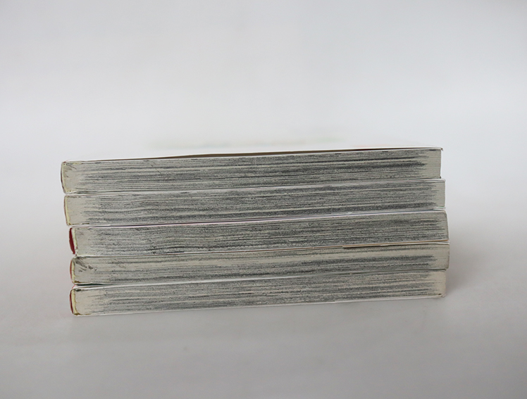 อาจารย์คนใหม่กับรักใส ๆ ของยัยโก๊ะ ( 5 เล่มจบ )