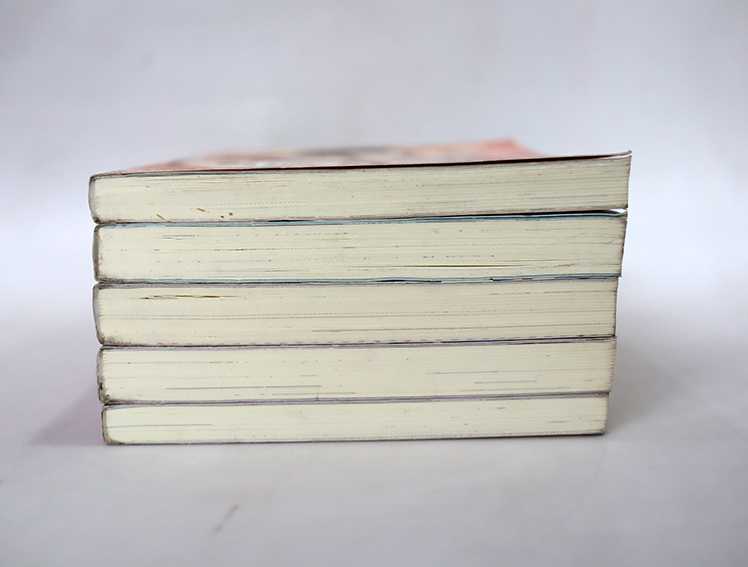 นิยายแจ่มใส เลิฟซีรี่ย์ - Hideko_Sunshine