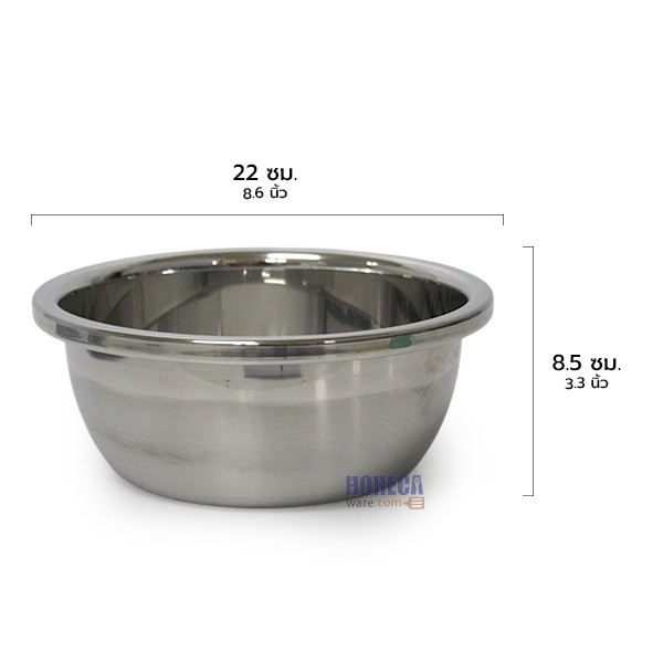 กังนัม กาละมัง 22 ซม. เอ็มเอส