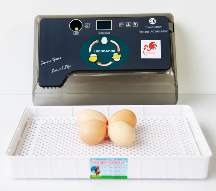 เครื่องฟักไข่อัตโนมัติ 12/35 ฟอง ตู้ฟักไข่ ตู้อบไข่ ฟักไข่ได้หลายขนาด ไข่ไก่ ไข่ห่าน ไข่นกกระทา
