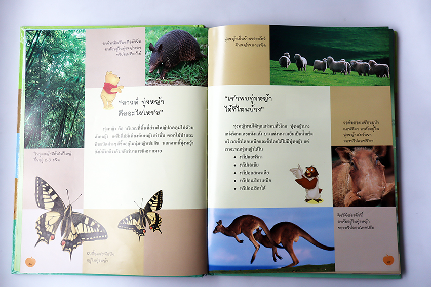 วินนี่เดอะพูห์เปิดโลกการเรียนรู้ สำรวจโลก