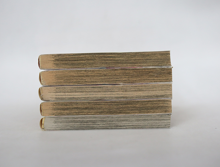 ศึกข้ามฟ้า ซามูไรข้ามยุค ( 5 เล่มจบ )