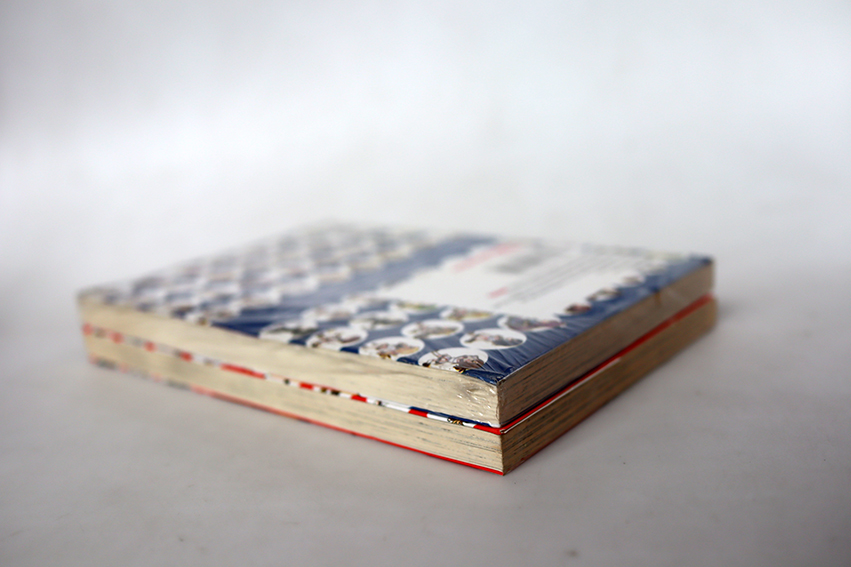 IS ไอเอ๊ส (2 เล่มจบ )