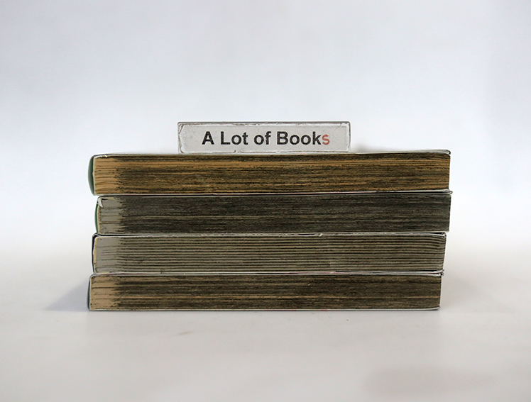 ปิดเมืองล่า ฆ่าล้างเมือง ( 4 เล่มจบ )