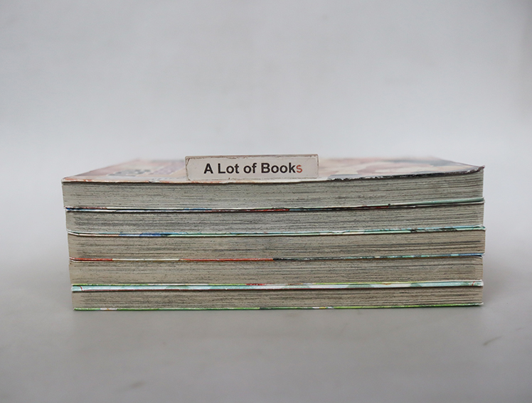 พี่ชายซอยสอง ( 5 เล่มจบ )