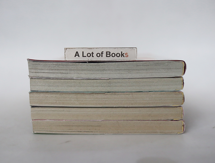 พี่ชายซอยสอง ( 5 เล่มจบ )